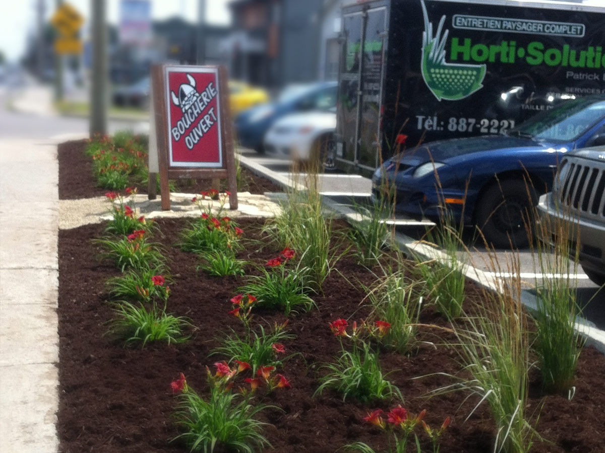 Nova-Flore, nova, flore, biodiversité, jardin, jardinage, espace vert, prairie fleurie, jachère fleurie, fleurs, prairie fleurs, jachères fleurs, jachères mellifères, mélanges fleurs, mélanges fleurs, mélanges jachère, mélanges prairie fleurie, mélanges florale, prairie, jachère, mycorhizes, solution mycorhizes, solution naturelle, solution végétalisation, insecte auxiliaire, chrysopes, auxiliaire chrysope, solution chrysope, plantes fleuries, bio symbiose, nématode, écologie urbaine, solution écologie urbaine, solution végétalisation.